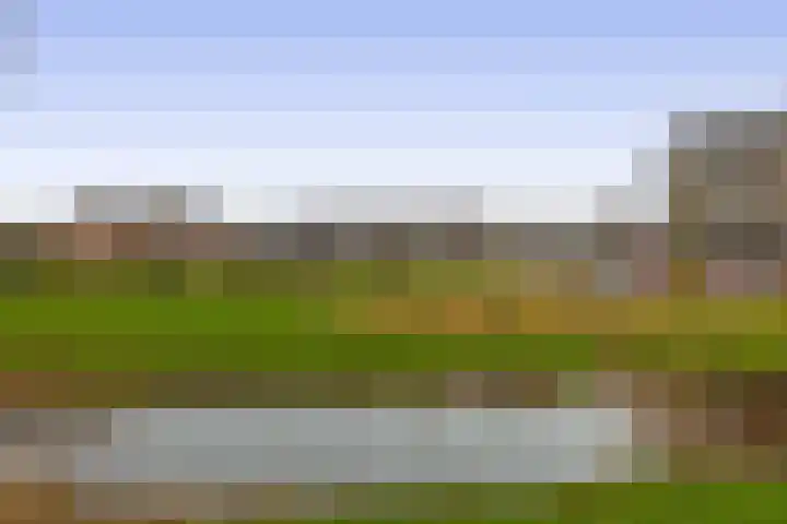 Weidezoom 34 Waddinxveen thumbnail 26