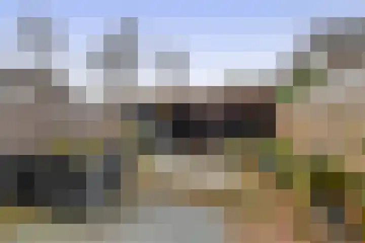 Weidezoom 34 Waddinxveen thumbnail 4