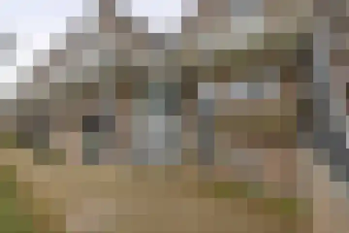 Weidezoom 34 Waddinxveen thumbnail 5