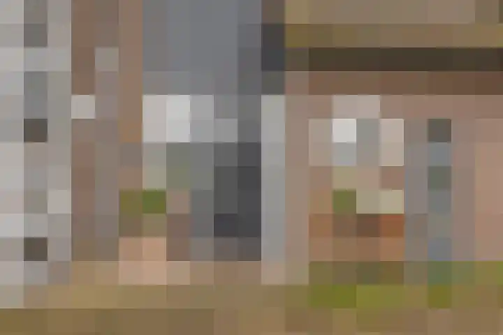 Weidezoom 34 Waddinxveen thumbnail 6