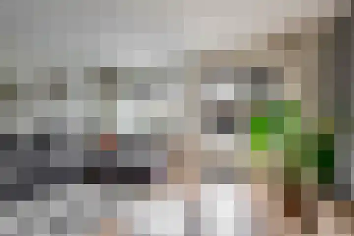 Weidezoom 34 Waddinxveen thumbnail 9