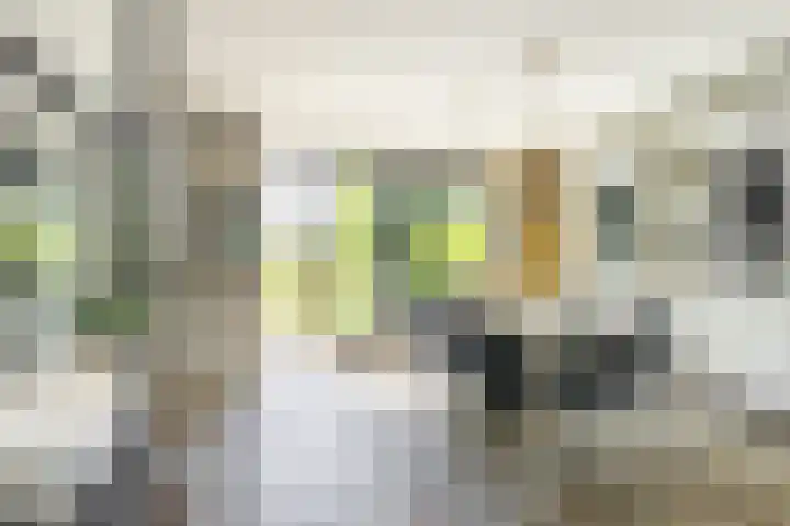 Weidezoom 35 Moordrecht thumbnail 11