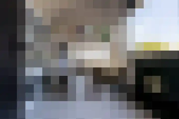 Weidezoom 35 Moordrecht thumbnail 40
