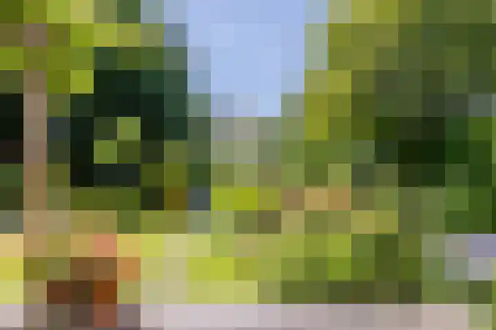 Weidezoom 35 Moordrecht thumbnail 47