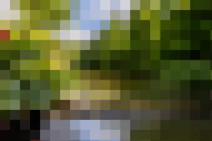 Weidezoom 35 Moordrecht thumbnail 49