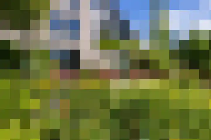 Weidezoom 35 Moordrecht thumbnail 56