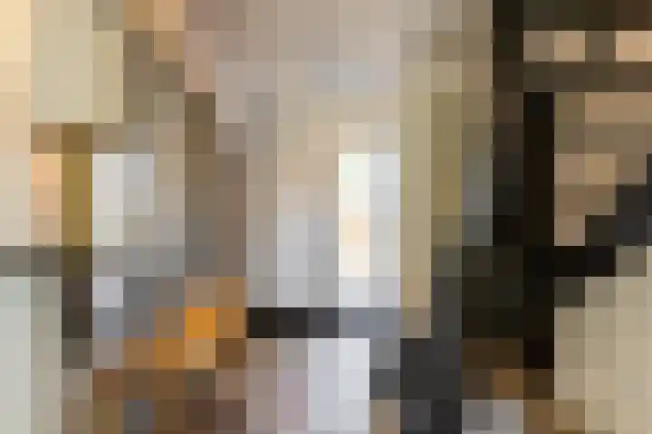 Weidezoom 35 Moordrecht thumbnail 8