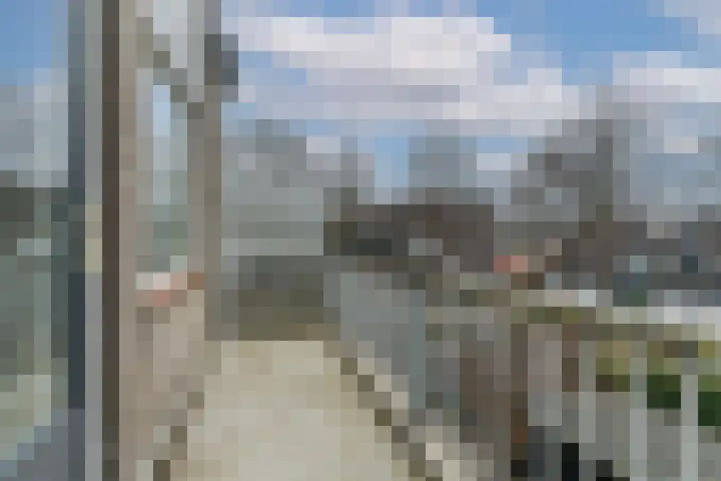 Weidezoom 42 Waddinxveen thumbnail 15