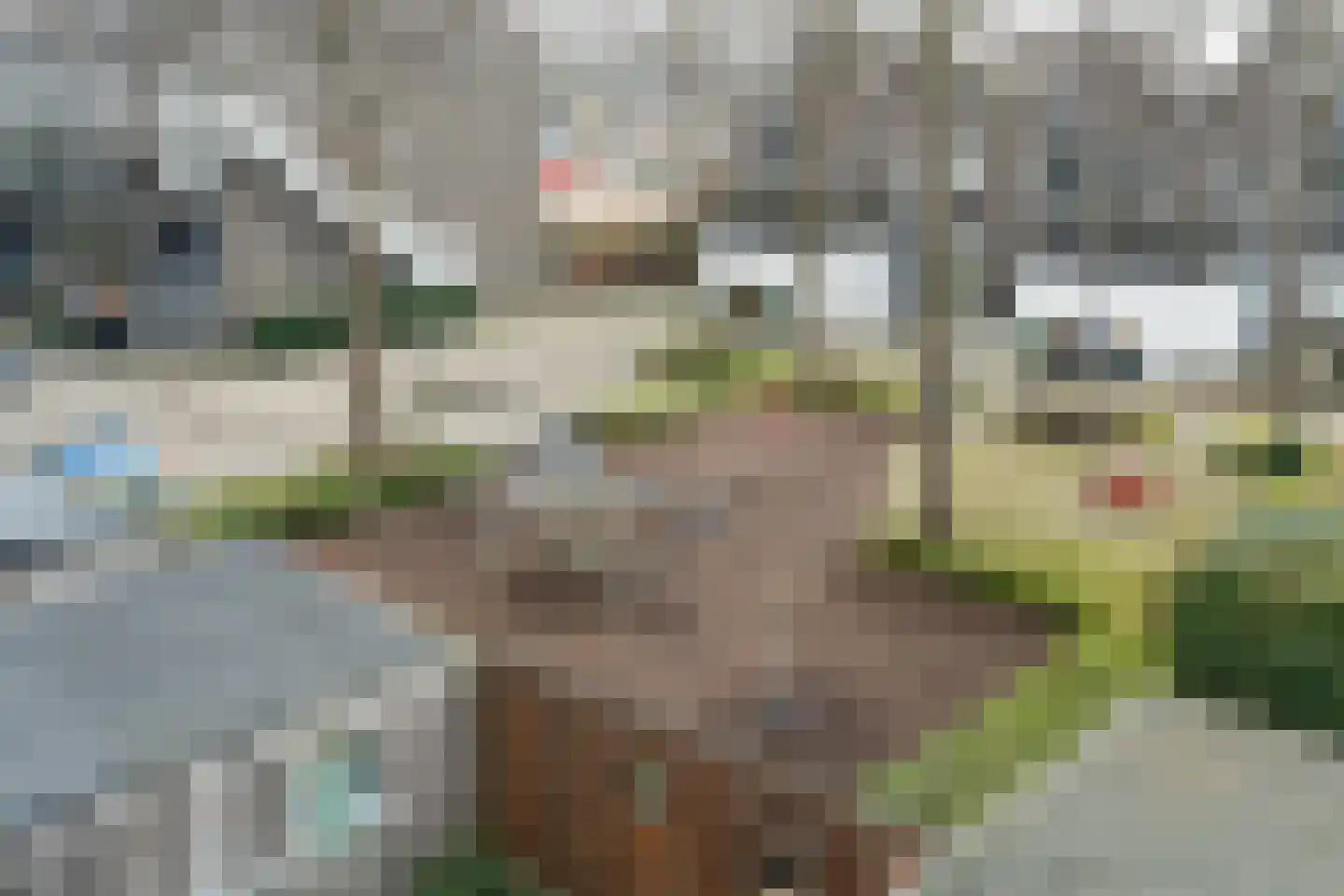 Weidezoom 42 Waddinxveen thumbnail 17