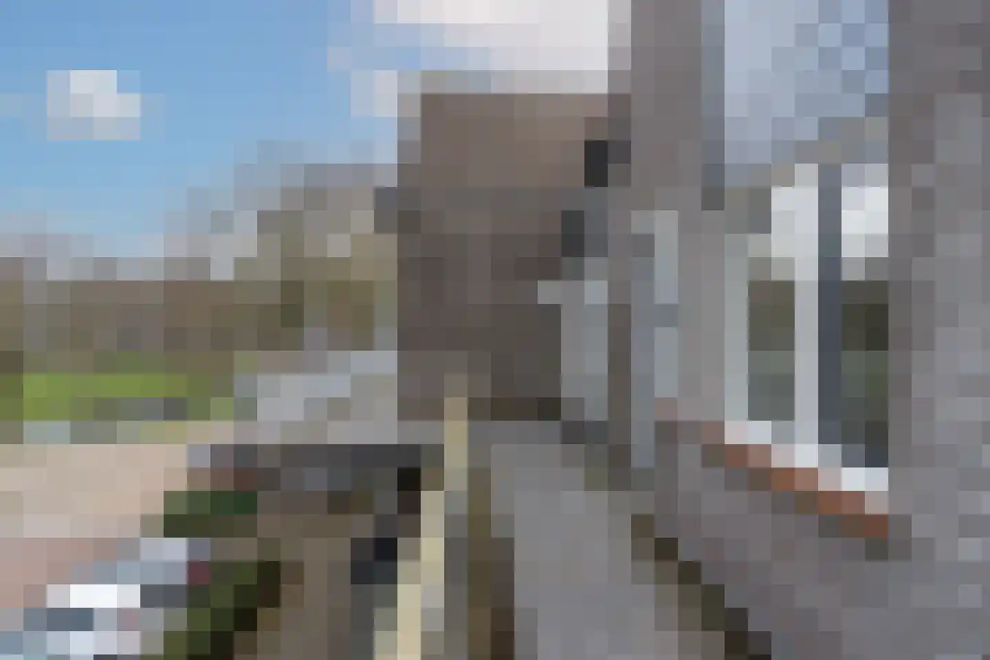 Weidezoom 42 Waddinxveen thumbnail 30