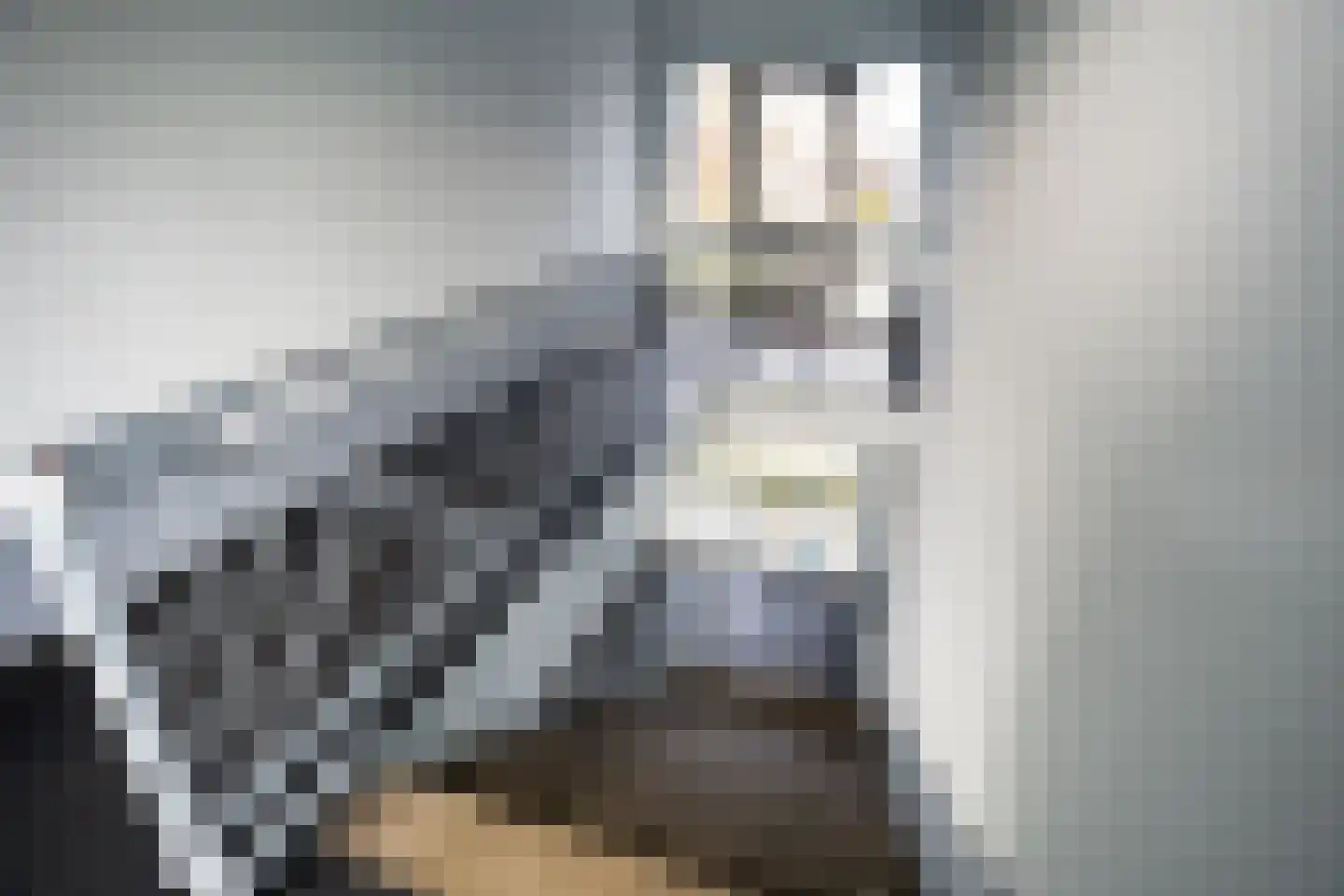 Weidezoom 42 Waddinxveen thumbnail 32
