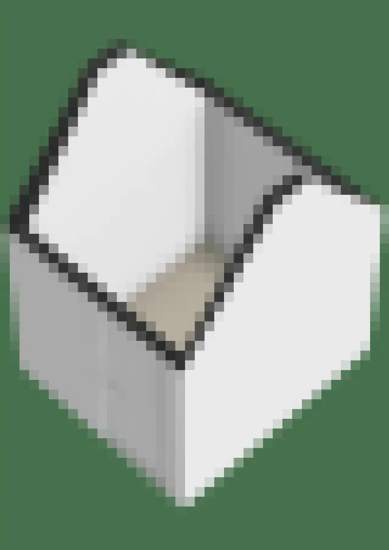 Weidezoom 42 Waddinxveen thumbnail 42