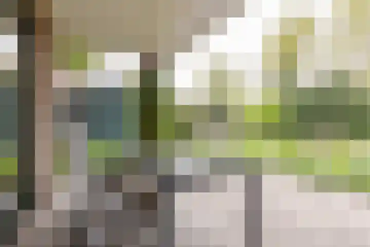Weidezoom 43 Moordrecht thumbnail 34