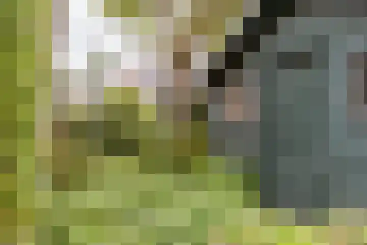 Weidezoom 43 Moordrecht thumbnail 36