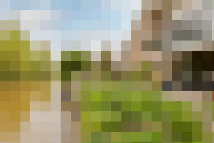 Weidezoom 43 Moordrecht thumbnail 37