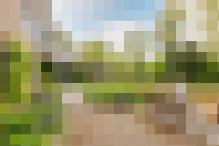 Weidezoom 43 Moordrecht thumbnail 40