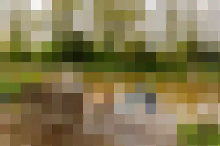 Weidezoom 43 Moordrecht thumbnail 41