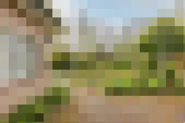 Weidezoom 43 Moordrecht thumbnail 42