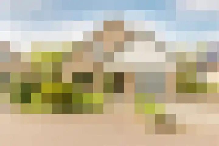 Weidezoom 43 Moordrecht thumbnail 45