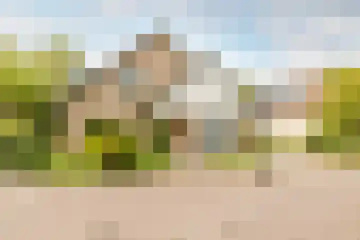 Weidezoom 43 Moordrecht thumbnail 6