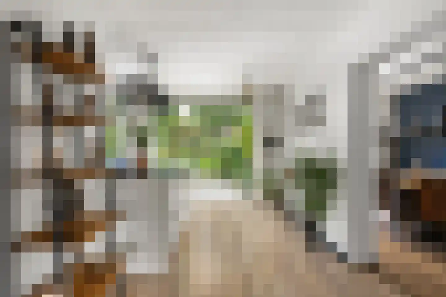 Weidezoom 49 Moordrecht thumbnail 12