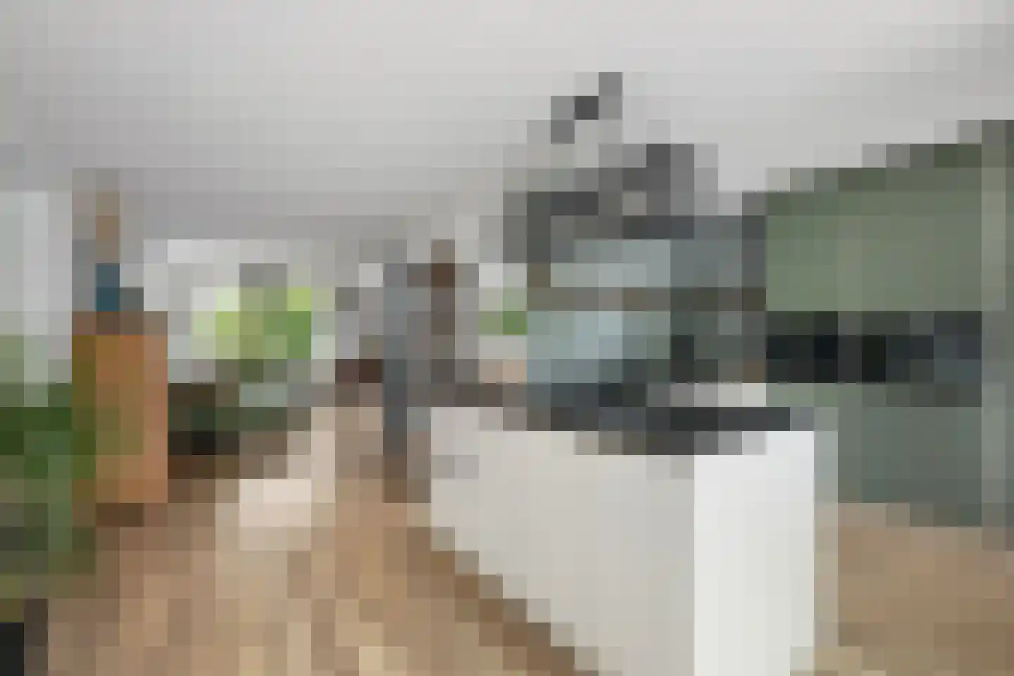Weidezoom 49 Moordrecht thumbnail 14