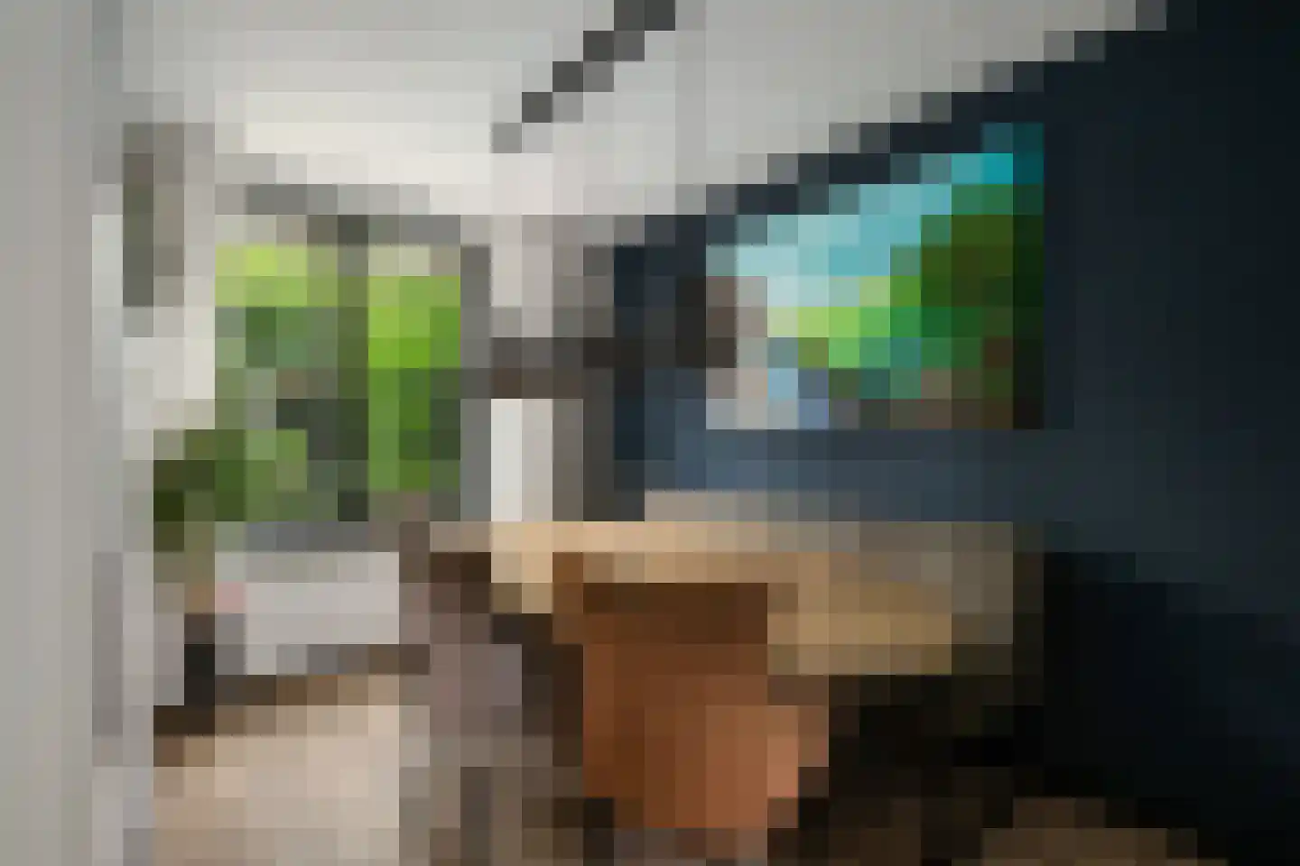 Weidezoom 49 Moordrecht thumbnail 16