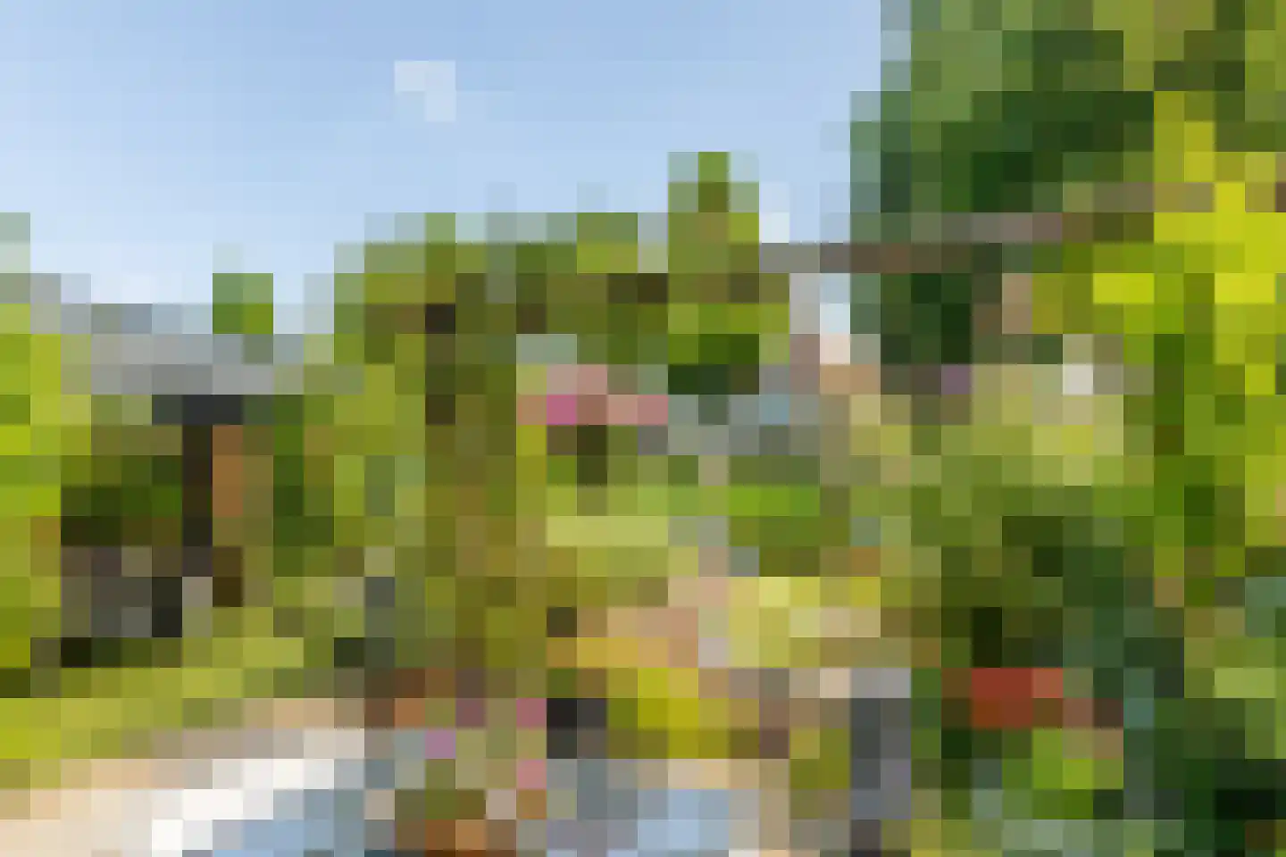 Weidezoom 49 Moordrecht thumbnail 22