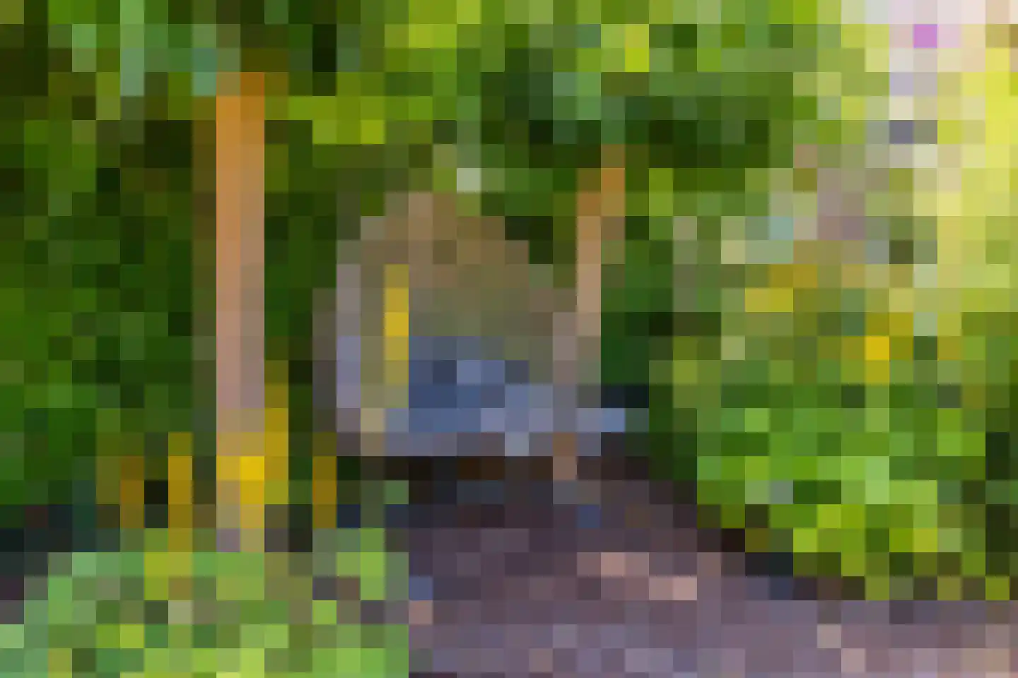 Weidezoom 49 Moordrecht thumbnail 23