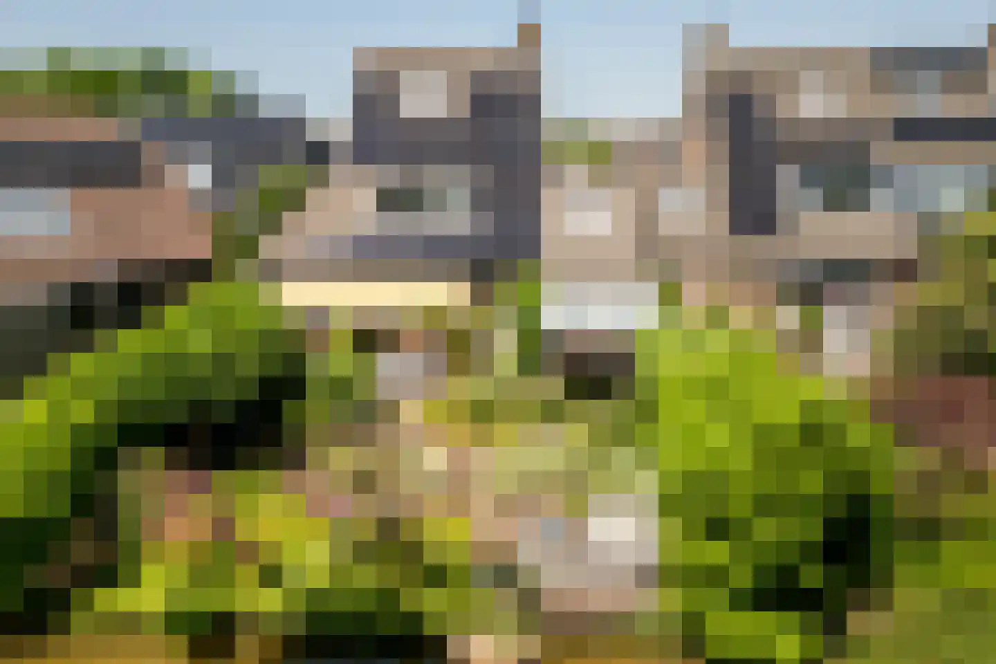Weidezoom 49 Moordrecht thumbnail 24
