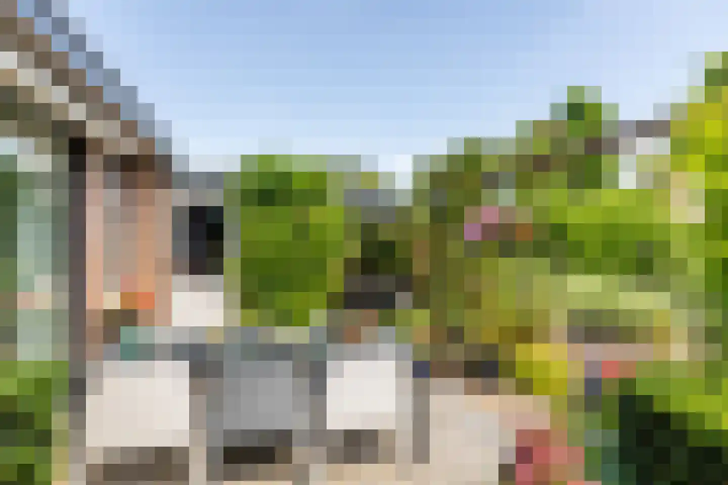 Weidezoom 49 Moordrecht thumbnail 35