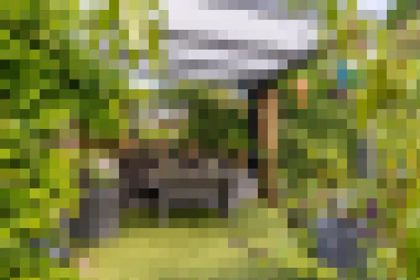 Weidezoom 49 Moordrecht thumbnail 36