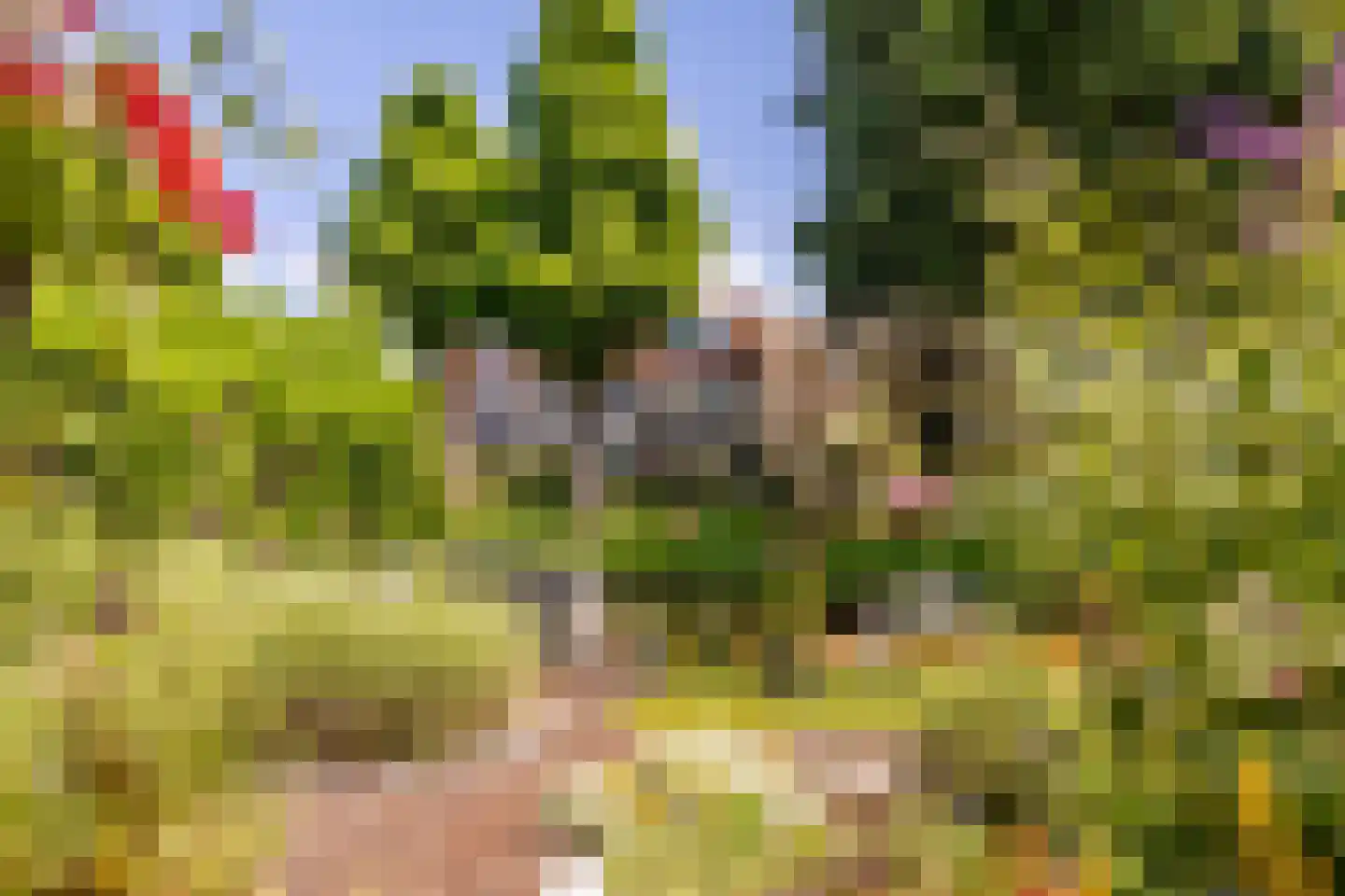 Weidezoom 49 Moordrecht thumbnail 39