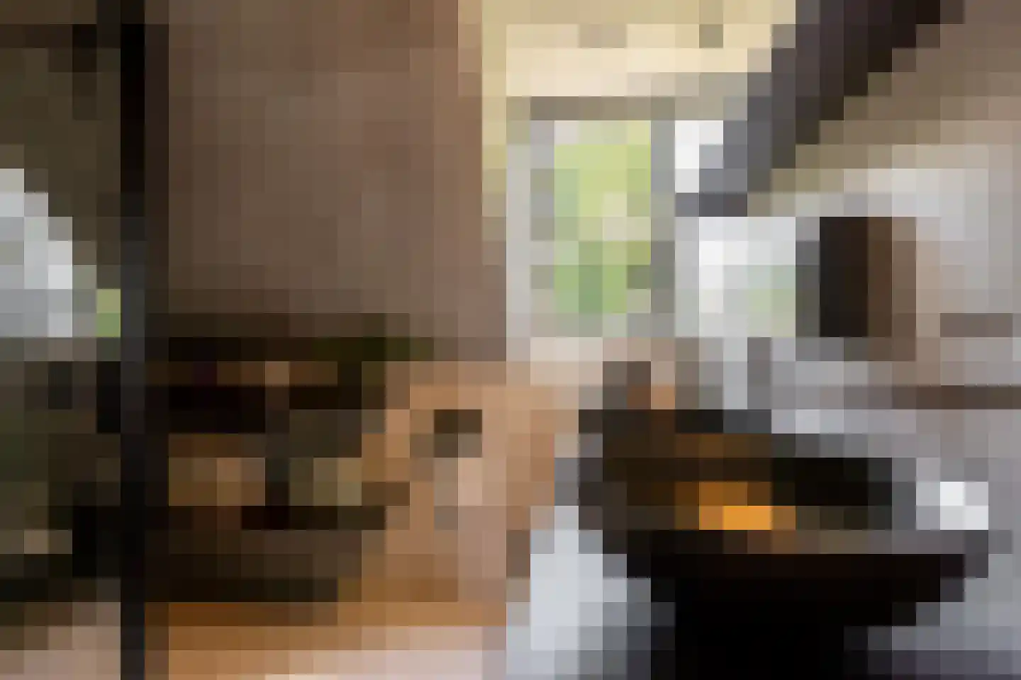 Weidezoom 49 Moordrecht thumbnail 4