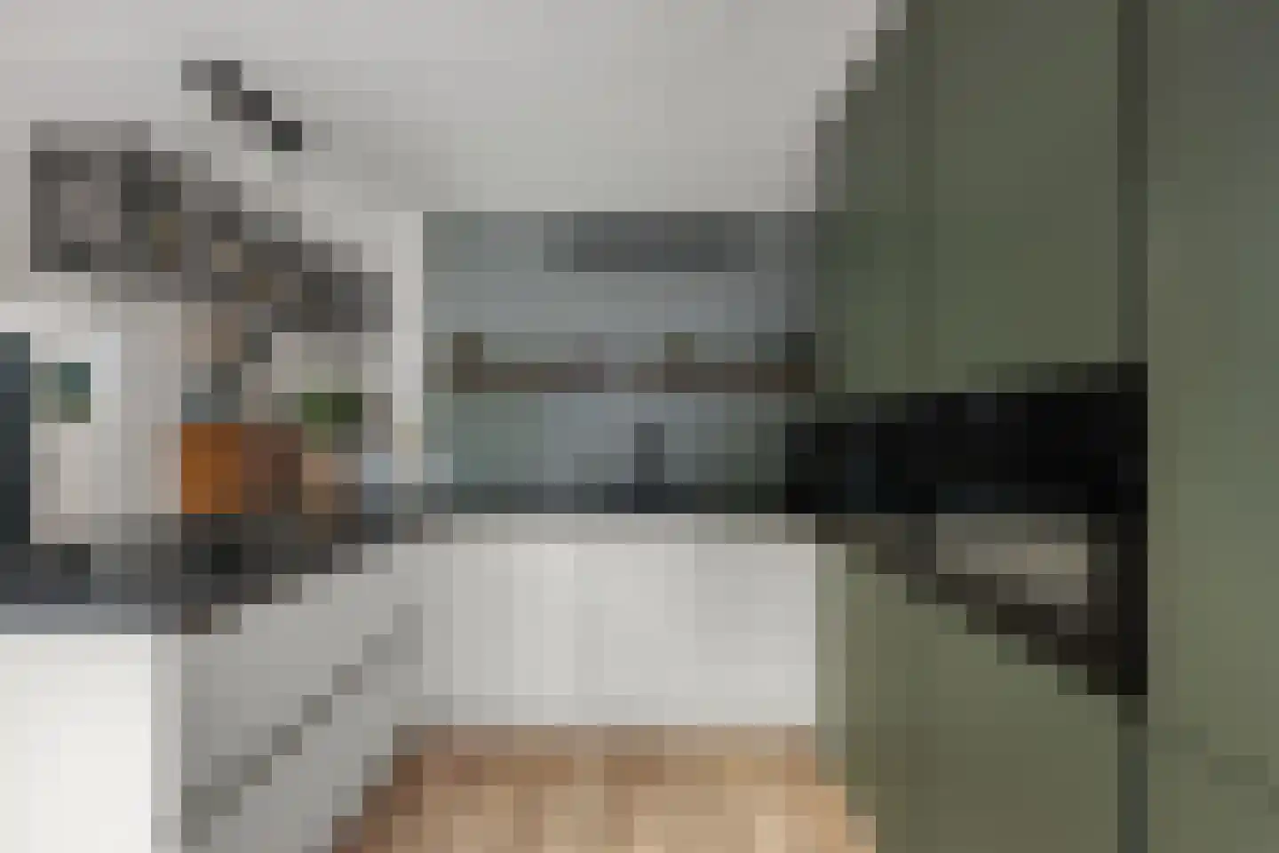 Weidezoom 49 Moordrecht thumbnail 4