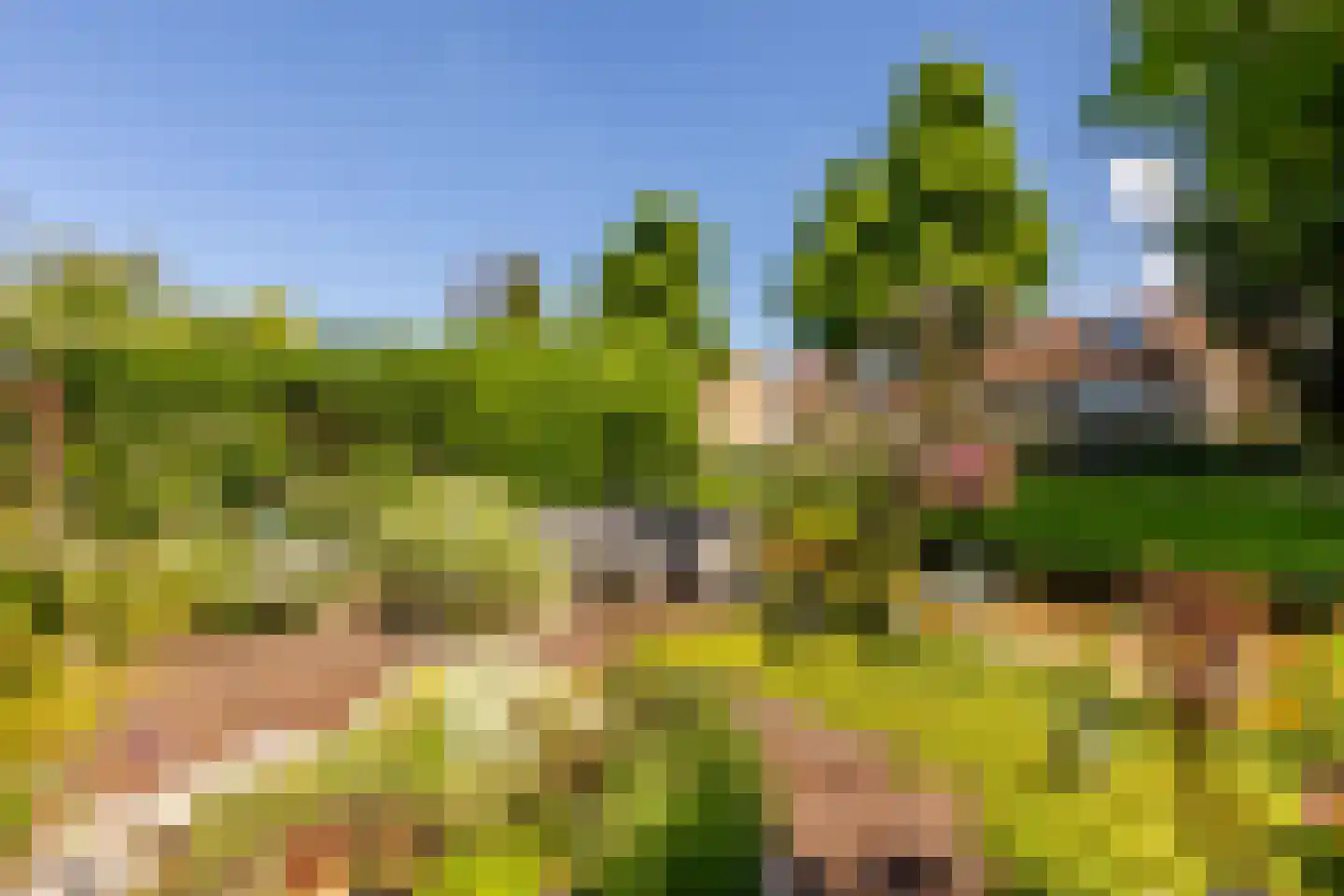 Weidezoom 49 Moordrecht thumbnail 42