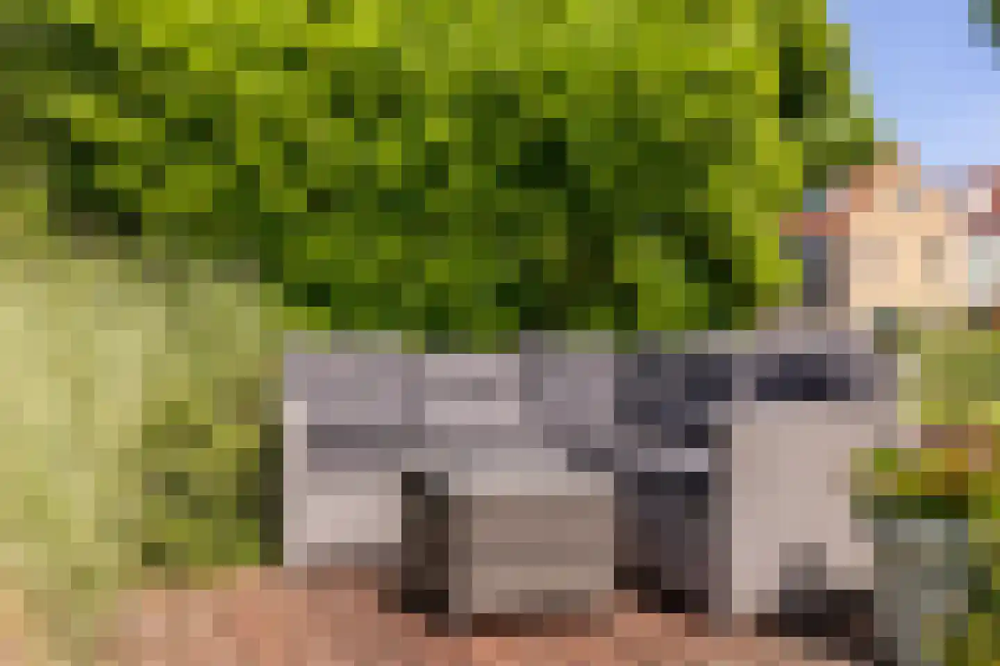 Weidezoom 49 Moordrecht thumbnail 43