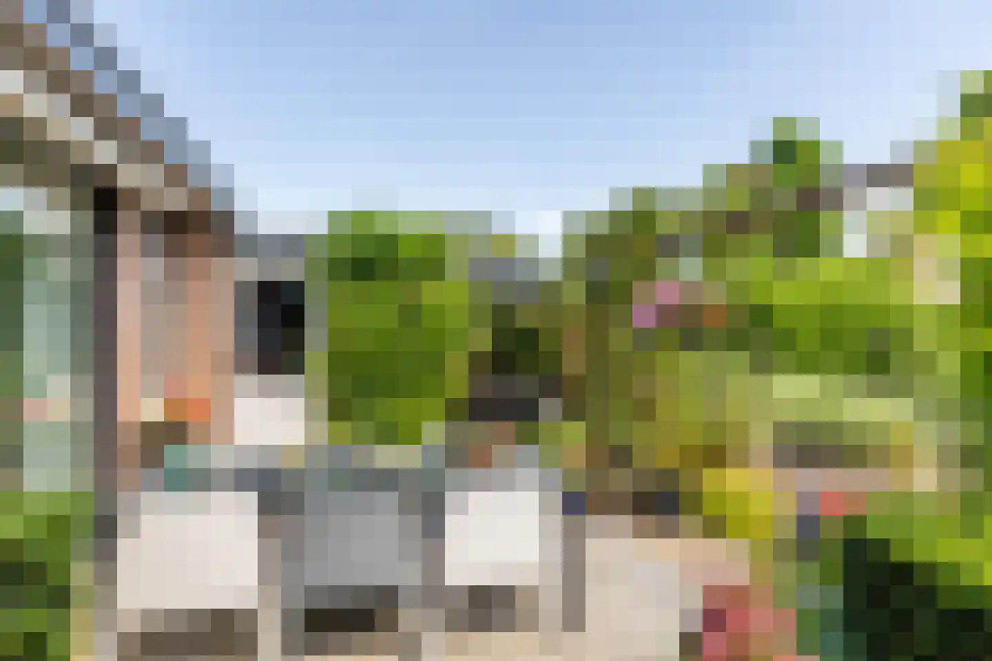 Weidezoom 49 Moordrecht thumbnail 43