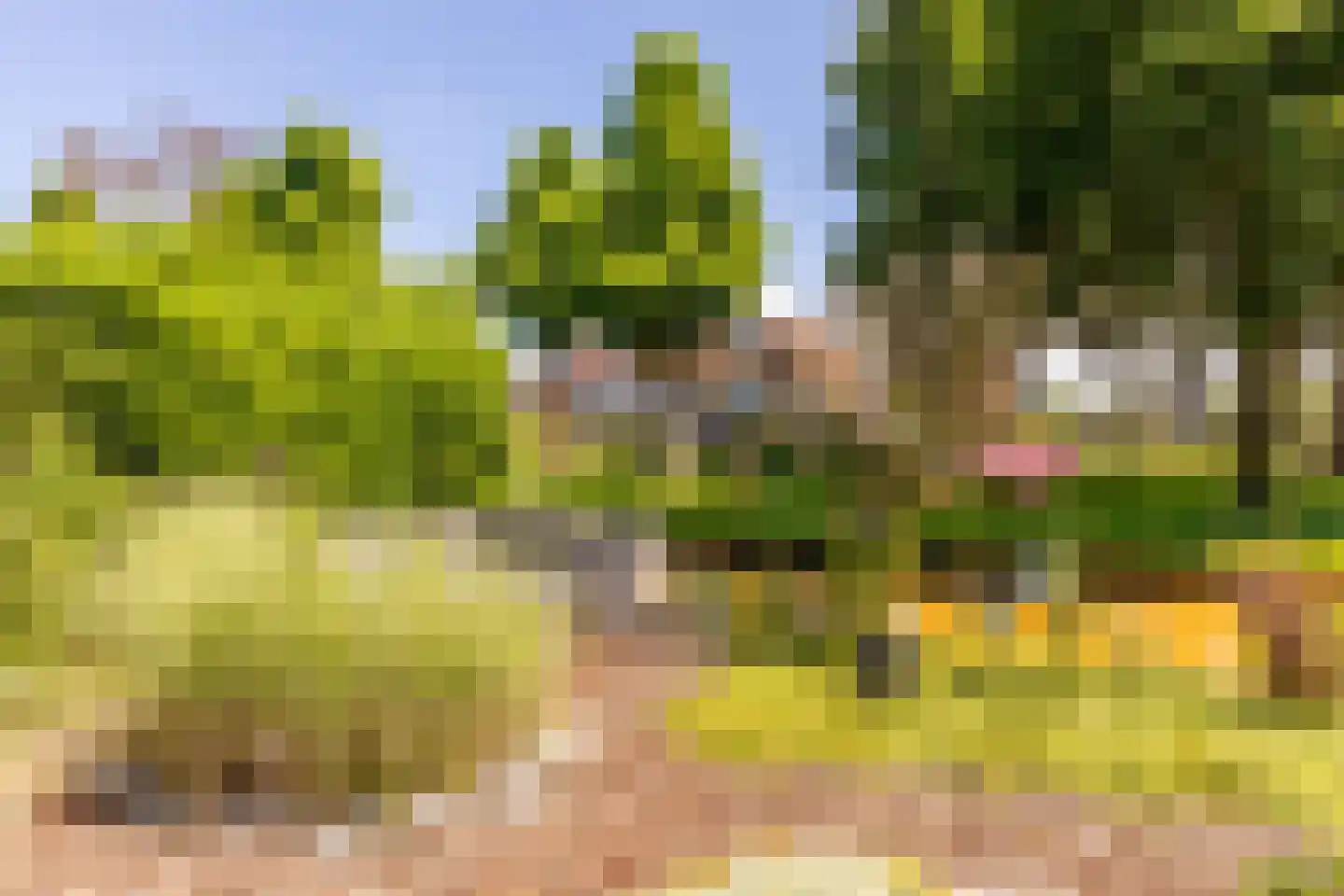 Weidezoom 49 Moordrecht thumbnail 44