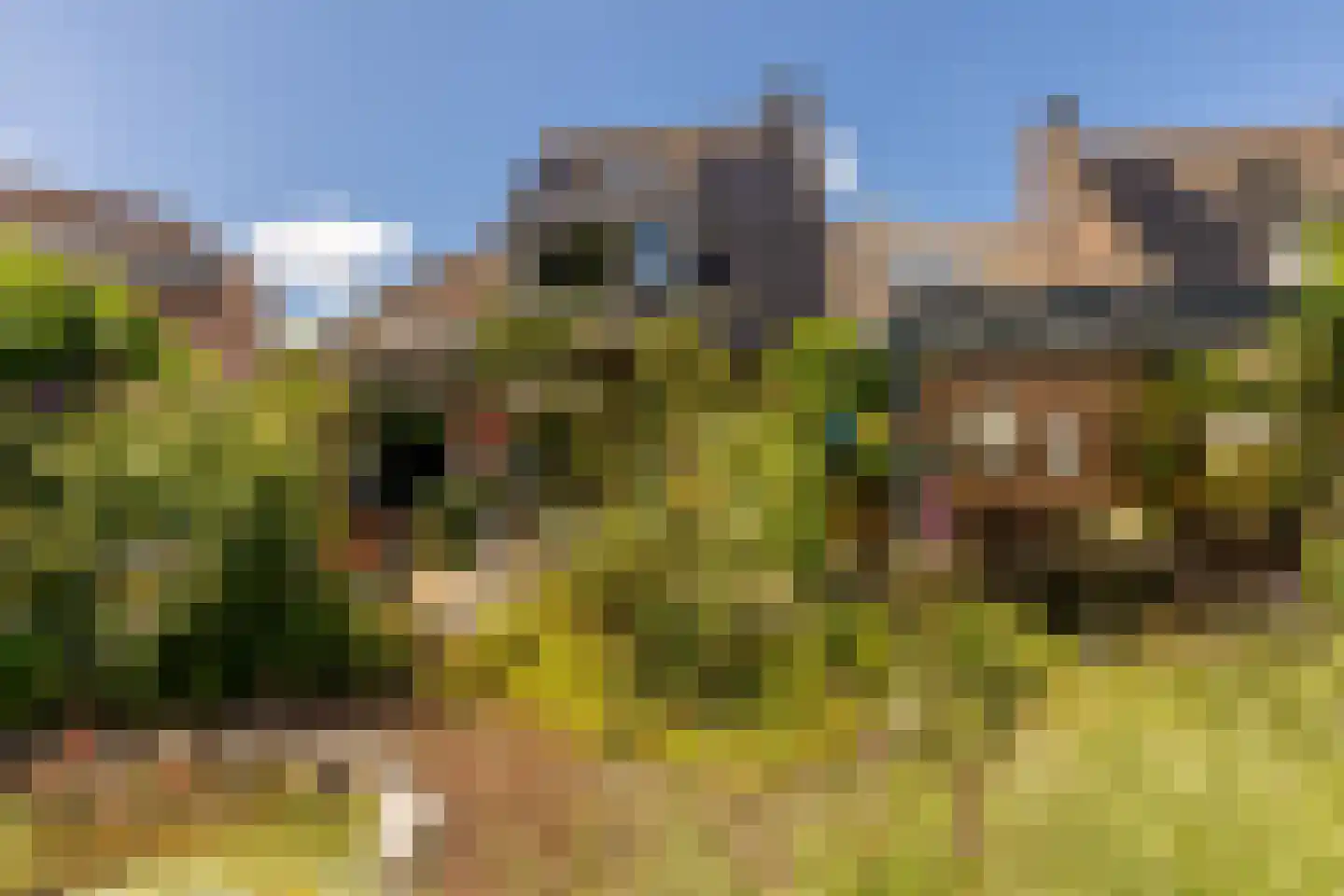 Weidezoom 49 Moordrecht thumbnail 44