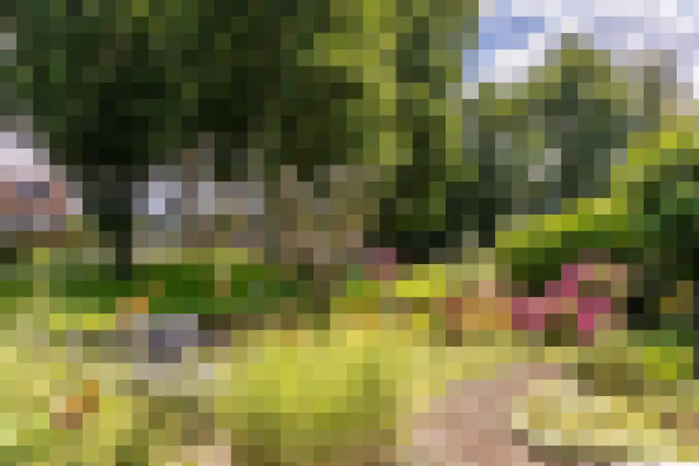Weidezoom 49 Moordrecht thumbnail 45