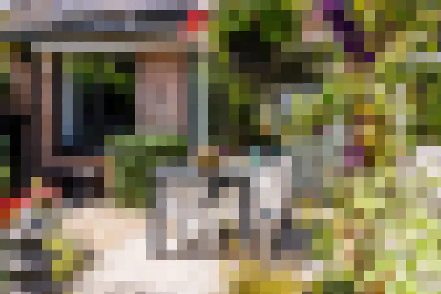 Weidezoom 49 Moordrecht thumbnail 45