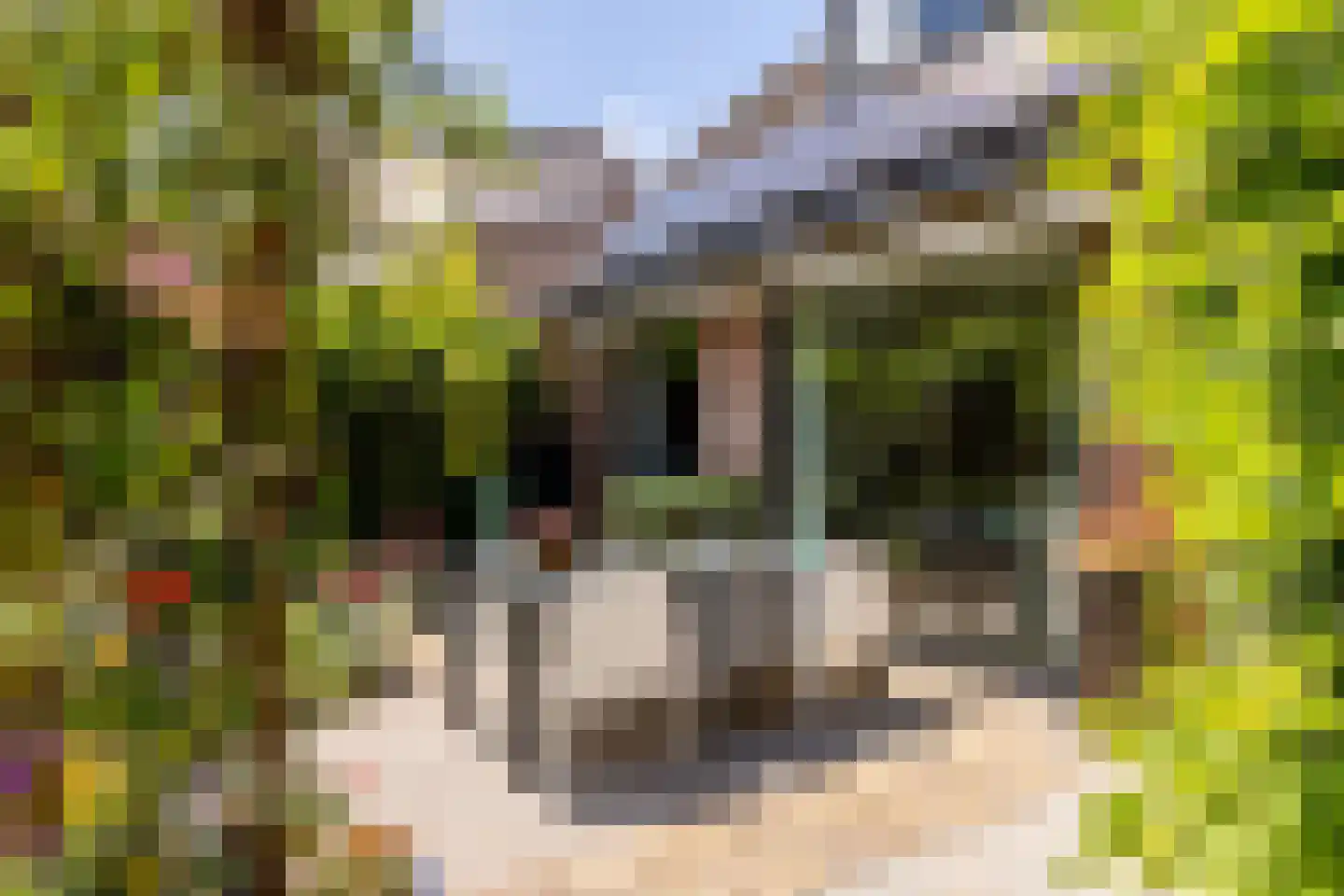 Weidezoom 49 Moordrecht thumbnail 46