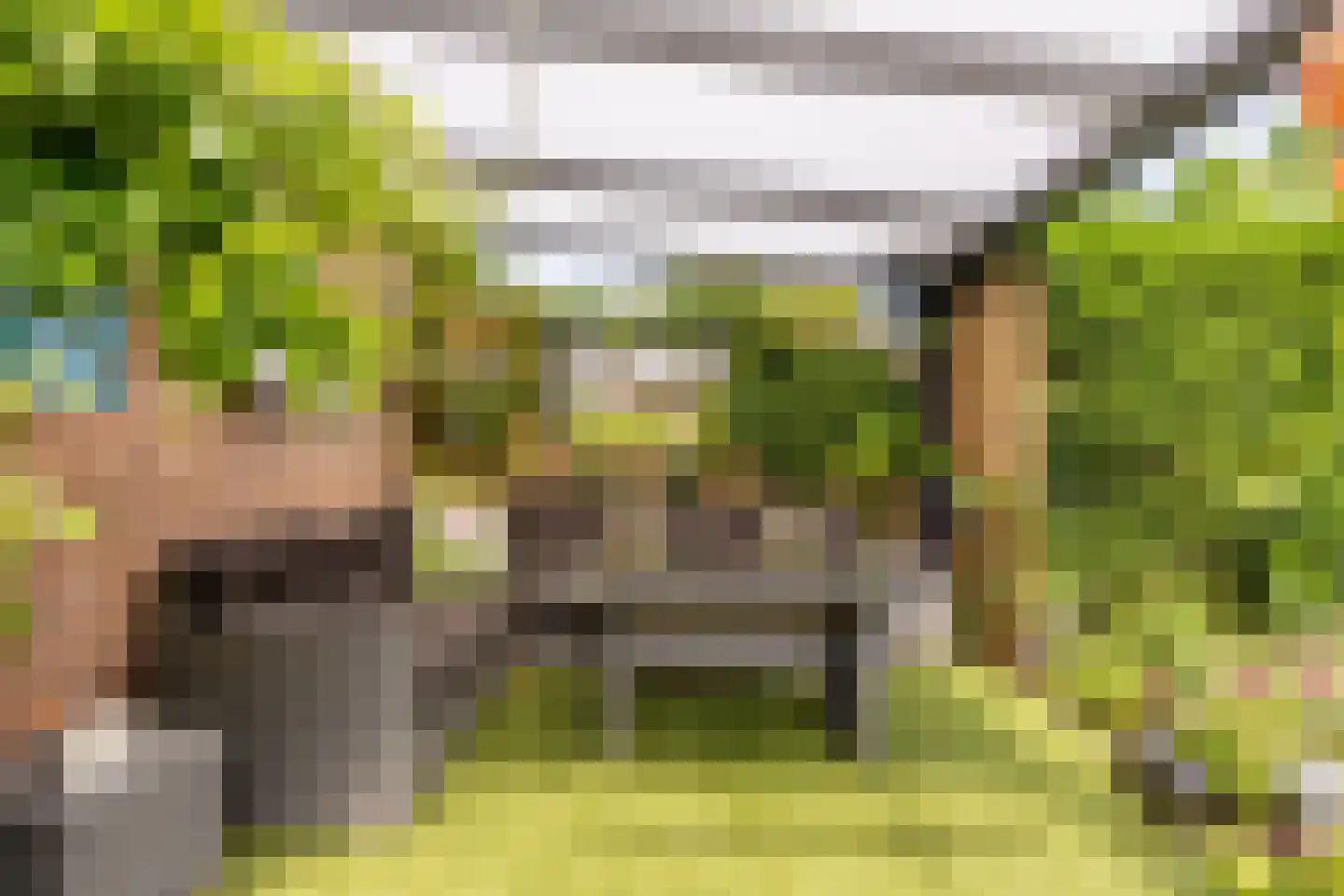 Weidezoom 49 Moordrecht thumbnail 46