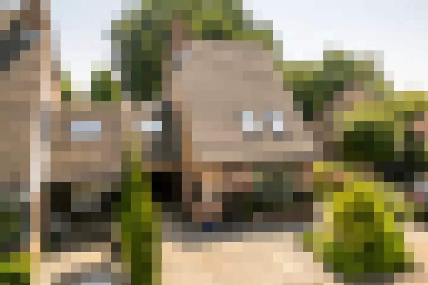 Weidezoom 49 Moordrecht thumbnail 48