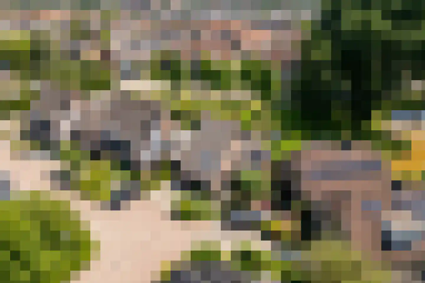 Weidezoom 49 Moordrecht thumbnail 49