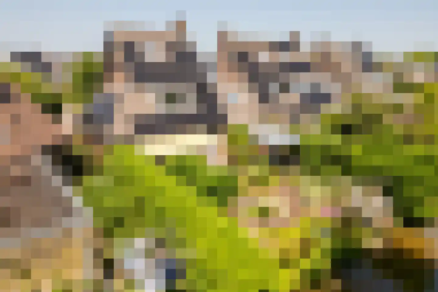 Weidezoom 49 Moordrecht thumbnail 5