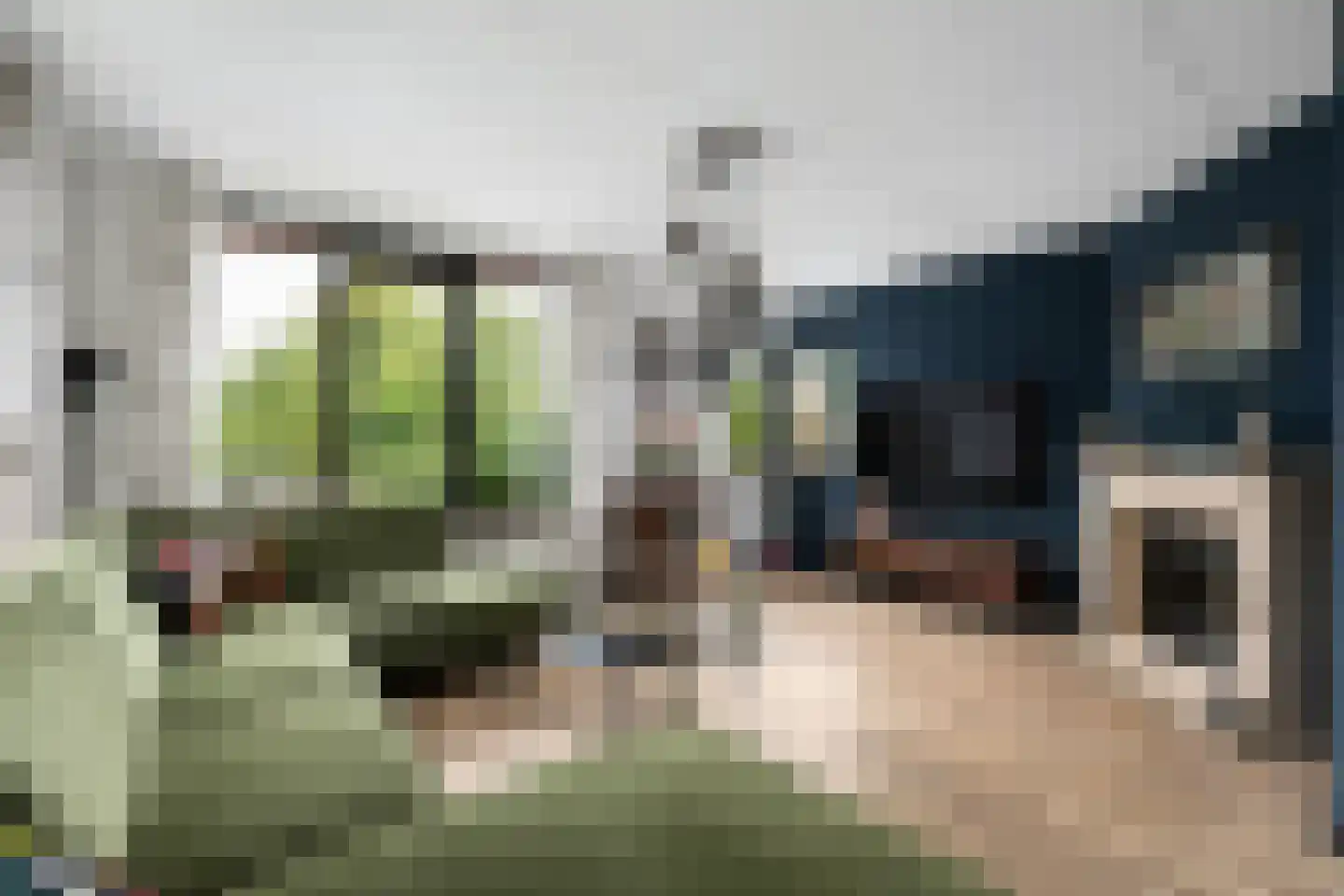 Weidezoom 49 Moordrecht thumbnail 8