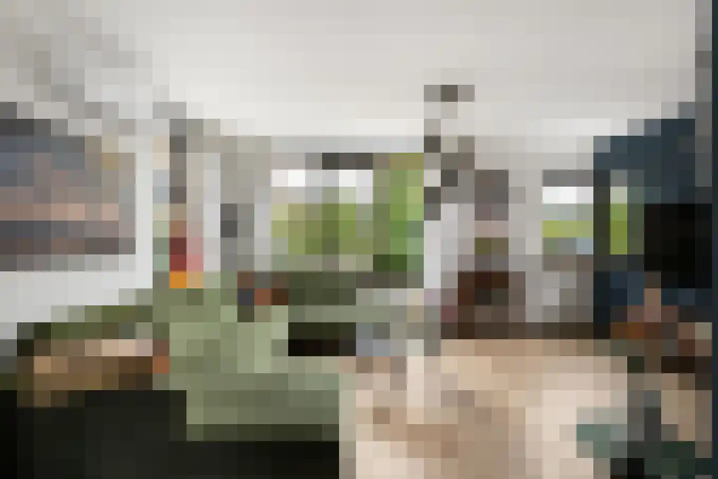 Weidezoom 49 Moordrecht thumbnail 9