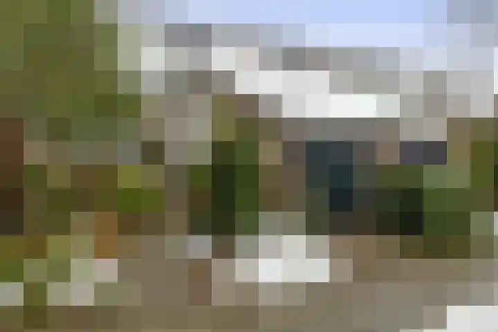 Weidezoom 51 Waddinxveen